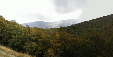 DSC08794-DSC08797_M1