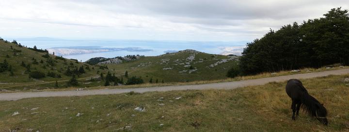 DSC07452-7456