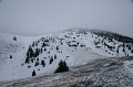 DSC07927