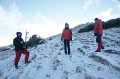 DSC07967-P100