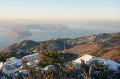 DSC08010