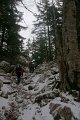 DSC08040