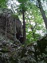 DSCF5745