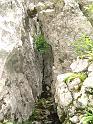 DSCF5870