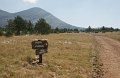 DSC06292