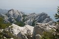DSC06359