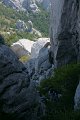 DSC06372