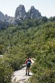 DSC06525