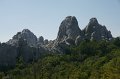 DSC06526
