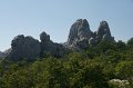 DSC06530