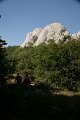 DSC06547